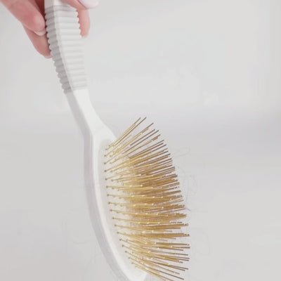 Gua Sha Brush Cleaning Kit